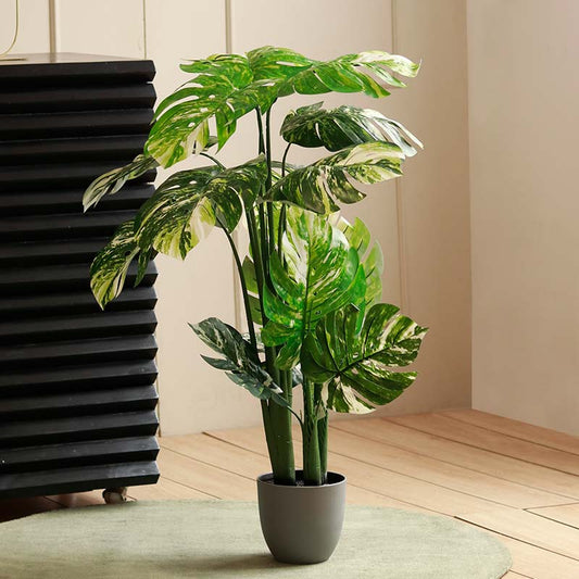 Artificial Variegated Monstera Plant | 4 ft