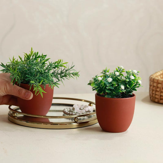 The Musings | Set of 2 small Artificial Plants | 6 inches each