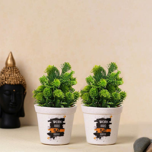 Jassy Melamine Planters | Set Of 2, 3