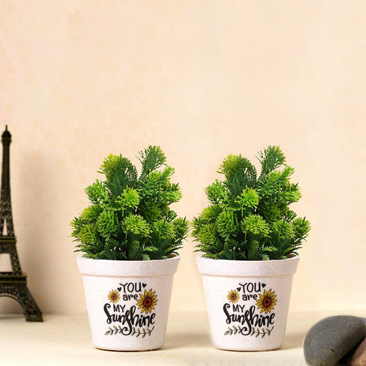 Pesco Melamine Planters | Set Of 2, 3