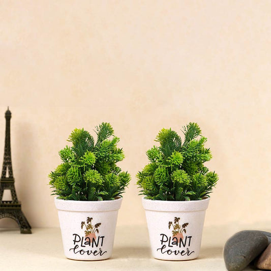 Veraco Melamine Planters | Set Of 2, 3