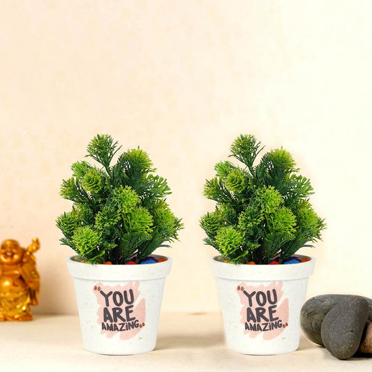 Tohi Melamine Planters | Set Of 2, 3