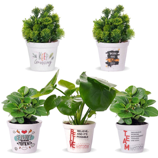 Pubela Melamine Planters | Set of 3