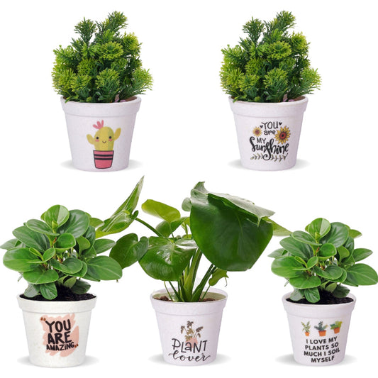 Classy Melamine Planters | Set Of 5