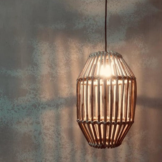 Modern Oval Ceiling Lamp