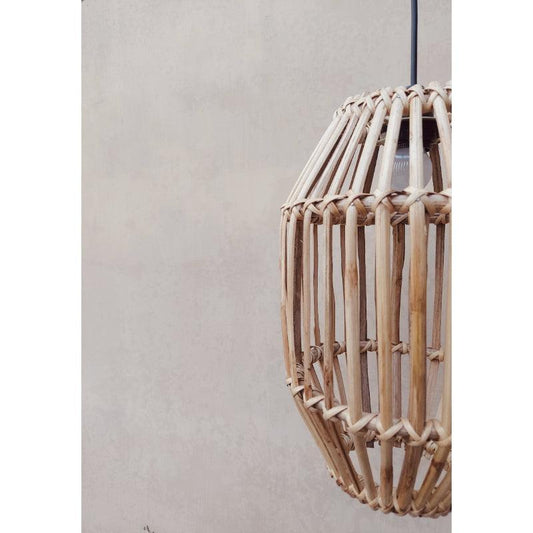 Modern Oval Ceiling Lamp