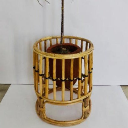Elevated Bamboo Planter