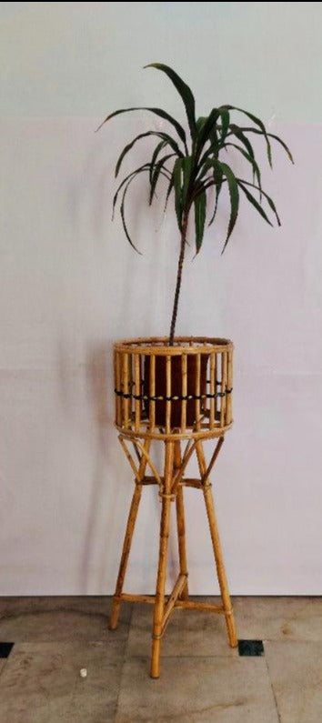 Tall Bamboo Planter