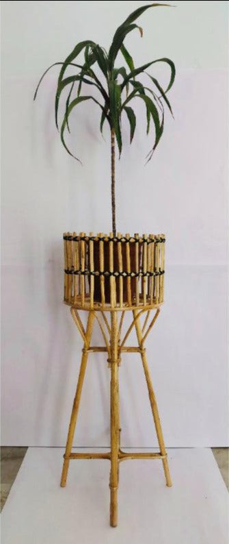Spiked Tall Planter