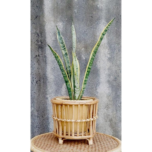 Vertical Bars Bamboo Planter