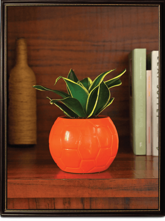 Orange Football Ceramic Pot