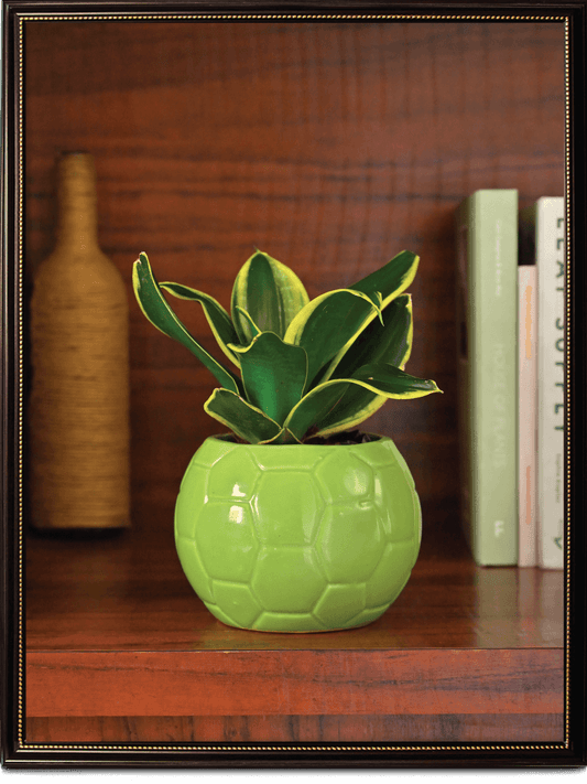 Light green Football Ceramic Pot