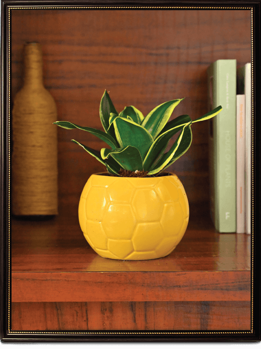 Yellow Football Ceramic Pot