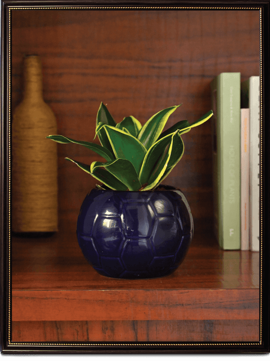 Blue Football Ceramic Pot