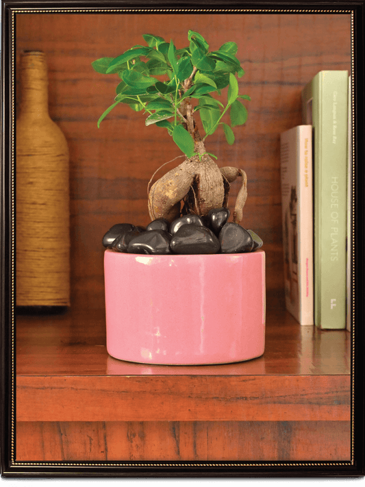 Magenta Lilac Stories Ceramic Pot