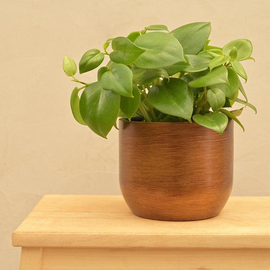 Ball Retro Planter | Multiple Sizes