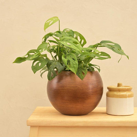 Vase Ball Retro Gold Planter | Multiple Sizes