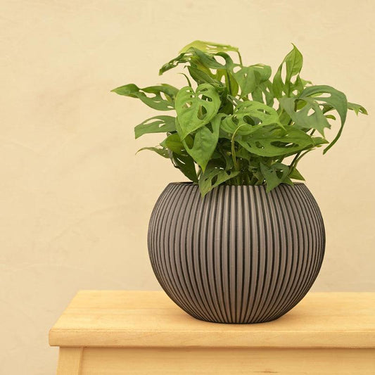 Black Vase Ball Groove Planter | Multiple Sizes