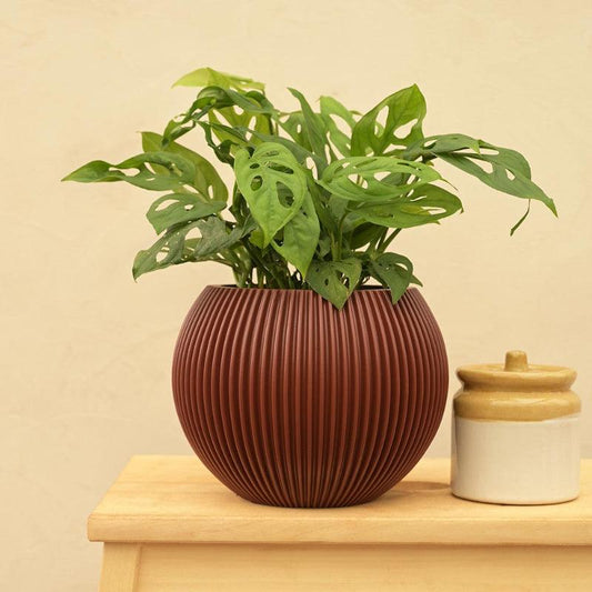 Red Vase Ball Groove Planter | Multiple Sizes