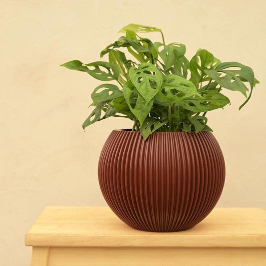 Red Vase Ball Groove Planter | Multiple Sizes