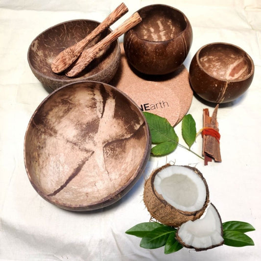 Classic Coconut Shell Bowl Set