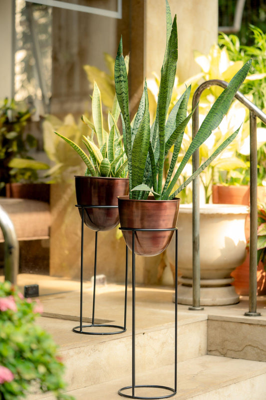 Copper Planter with Black Stand | Multiple Sizes