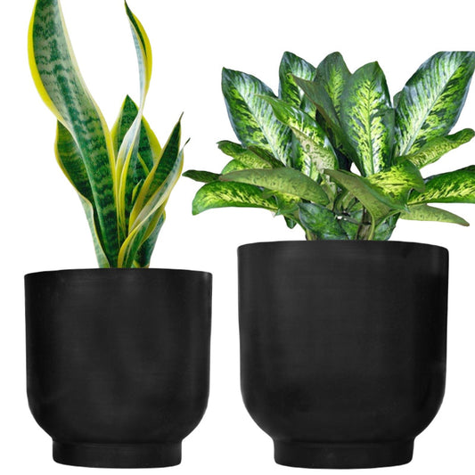 Eva Metal Pot | Set of 2 | Multiple Colors