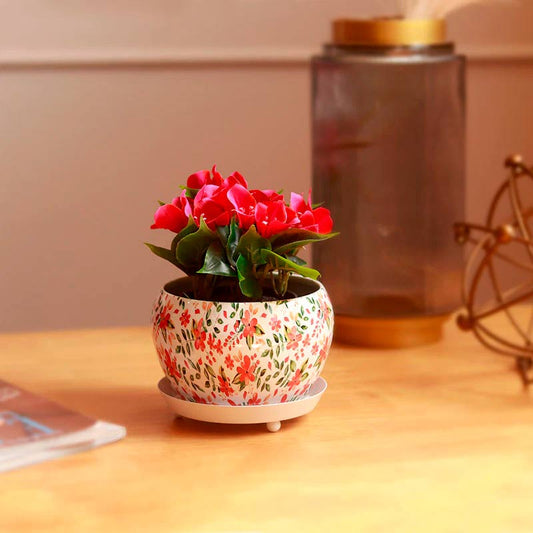 The Havana | White Floral Metal Pot with Saucer Plate | Single & Set of 2