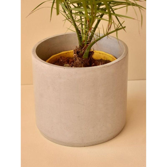 Meticulous Round Concrete Planter