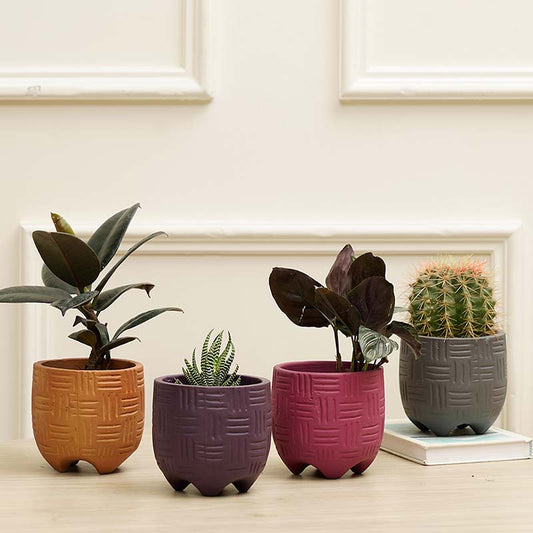 Monaco Terracotta Planters | Set of 4