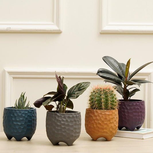 Pebble Combo Planter | Set of 4