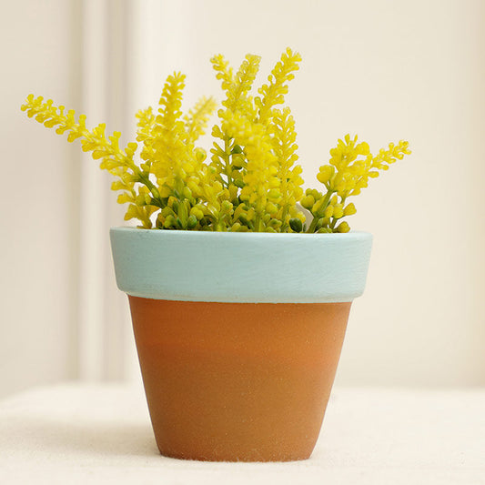 Petite Planter | Multiple colors