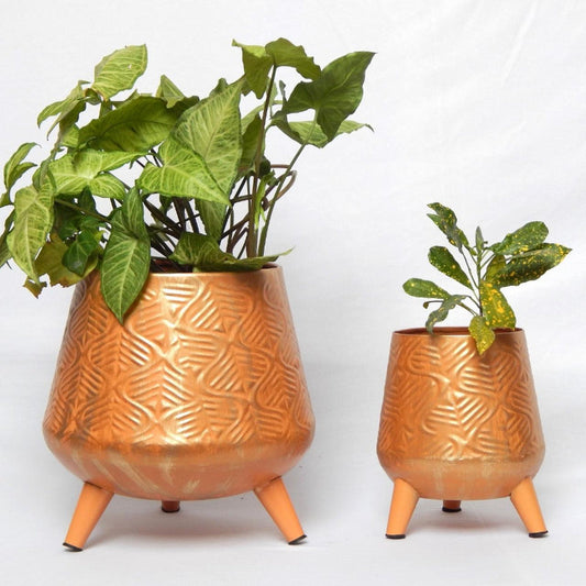 Orange Hazel Metal Planter with Stand | Set of 2