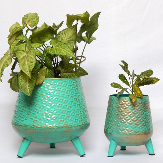 Green Hazel Metal Planter with Stand | Set of 2