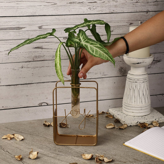 Gold Testube Planter