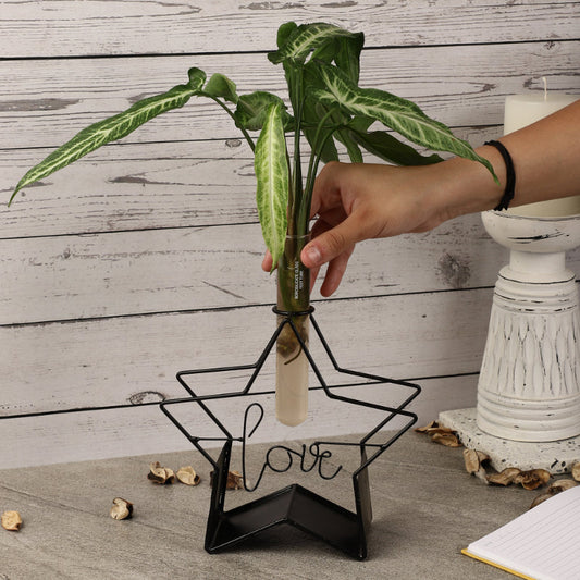 Love Testube Planter