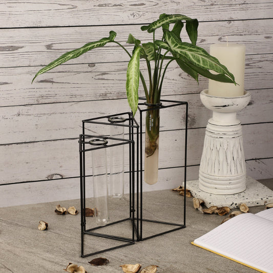 Tri Foldable Testube Planter