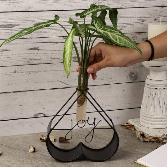 Modern Black Joy Testube Planter