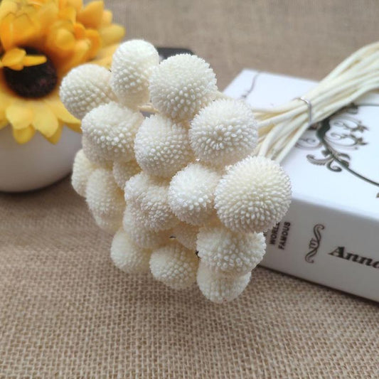 Billy Balls White Bunch | Pack of 10 stems