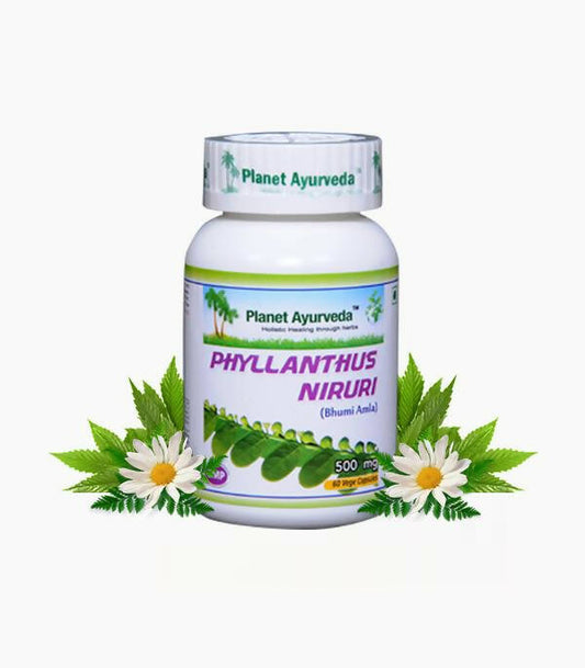 Planet Ayurveda Phyllanthus Niruri Capsules - 60 tabs