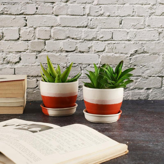 Ceramic Planters | Set of 2