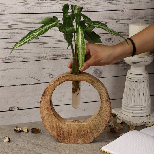 Modern Wooden Testube Planter