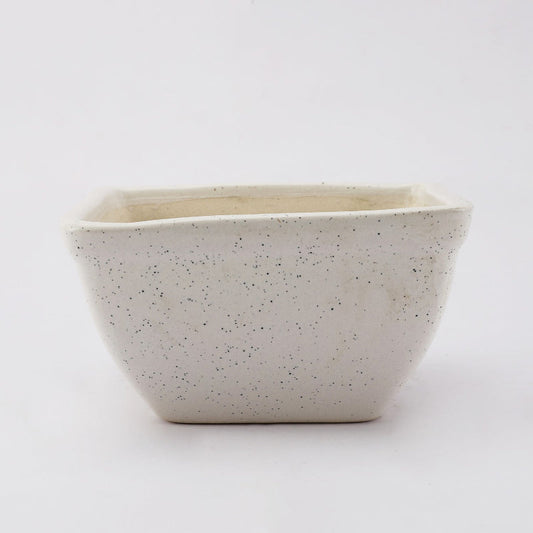 Ceramic Square Dish  Planter