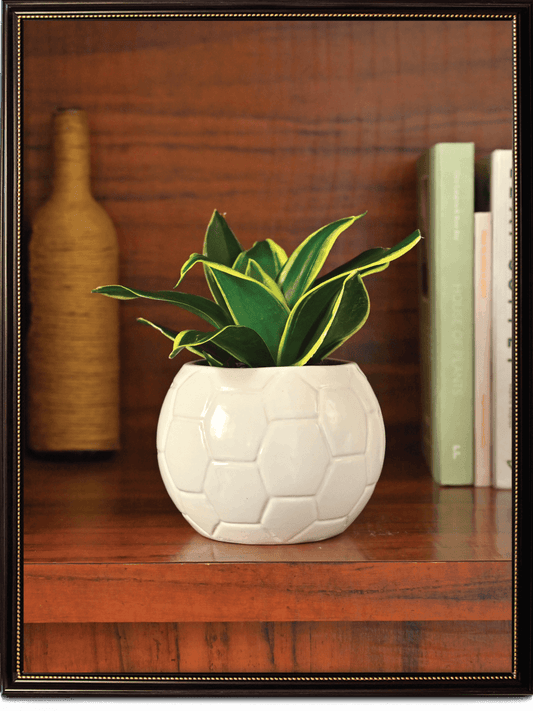 White Football Ceramic Pot