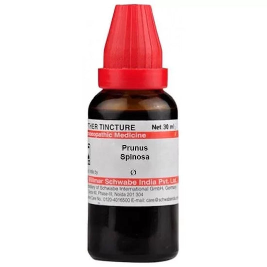 Dr. Willmar Schwabe India Prunus Spinosa Mother Tincture