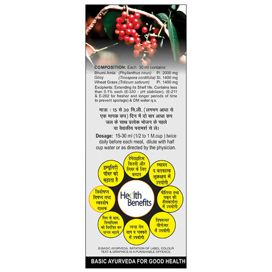 Basic Ayurveda Bhumi Amla & Giloy Mix Juice - 450 ml